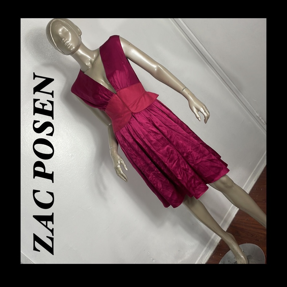 🌷ZAC POSEN DRESS